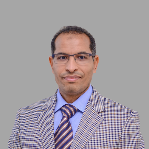 Mansour Shawky